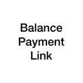 Balance payment link
